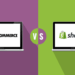 Shopify vs WooCommerce for dropshipping: A Comprehensive Comparison